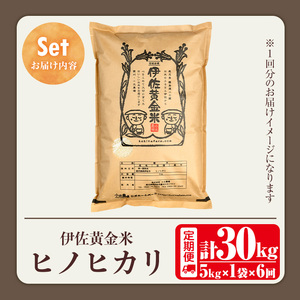 isa602 ＜先行予約受付中！2025年10月より順次初回発送＞《数量限定・6回定期便》令和7年産 小北農場の新米 伊佐黄金米〈ヒノヒカリ〉(計30kg・5kg×1袋×6回) 鹿児島 伊佐 新米 お