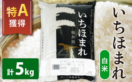 【令和7年産】【福井のブランド米】【特A獲得】いちほまれ 白米 5kg × 1袋