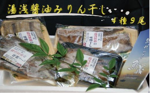 
和歌山の近海でとれた新鮮魚の湯浅醤油みりん干し4品種9尾入りの詰め合わせ
