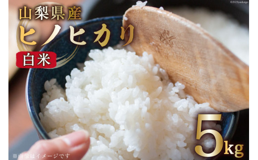 【期間限定発送】 米 令和7年産 ヒノヒカリ 5kg [大成農房 山梨県 韮崎市 20743081] お米 おこめ こめ コメ ご飯 ごはん 精米 白米 ひのひかり 5キロ 令和7年 家庭用 国産 期間限定 数量限定