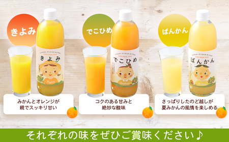 ＜マルワフルーツ柑橘アソート 100％ストレート果汁ジュース 500ml×10本＞ 詰め合わせ セット スイーツ 果物 フルーツ みかん オレンジ 柑橘 清見 でこひめ 河内晩柑 伊予柑 せとか 特産