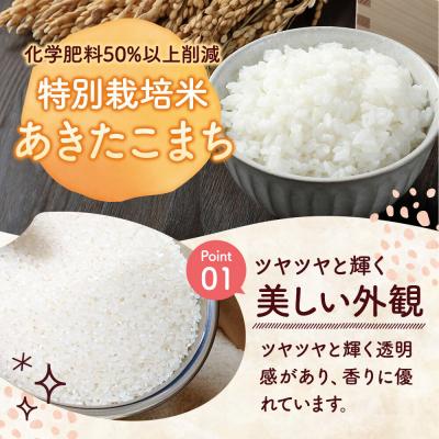 ふるさと納税 大仙市 米 特別栽培米 あきたこまち【精白米】5kg×1袋産|22_rsm-220101 |  | 02