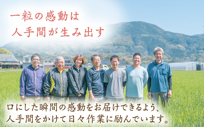 ＜14年連続特A評価＞令和5年産 さがびより 玄米 10kg /江口農園 [UBF006] 米 お米 ブランド米