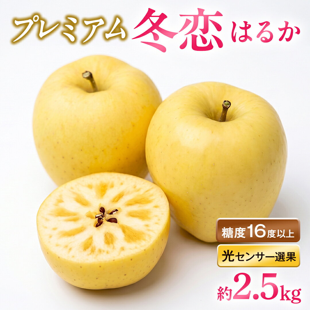 【ふるさと納税】りんご「プレミアム冬恋はるか」蜜入り保証 糖度16度以上 約2.5kg【先行予約 12月発送】数量限定 岩手県産 高級 フルーツ ギフト お歳暮 贈答用 黄色いりんご 蜜入りりんご リンゴ 林檎 冬恋 はるか 果物【冬恋研究会】(AI021)