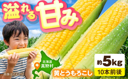 【先行予約】とうもろこし 黄 5kg  [BPAM020] とうもろこし