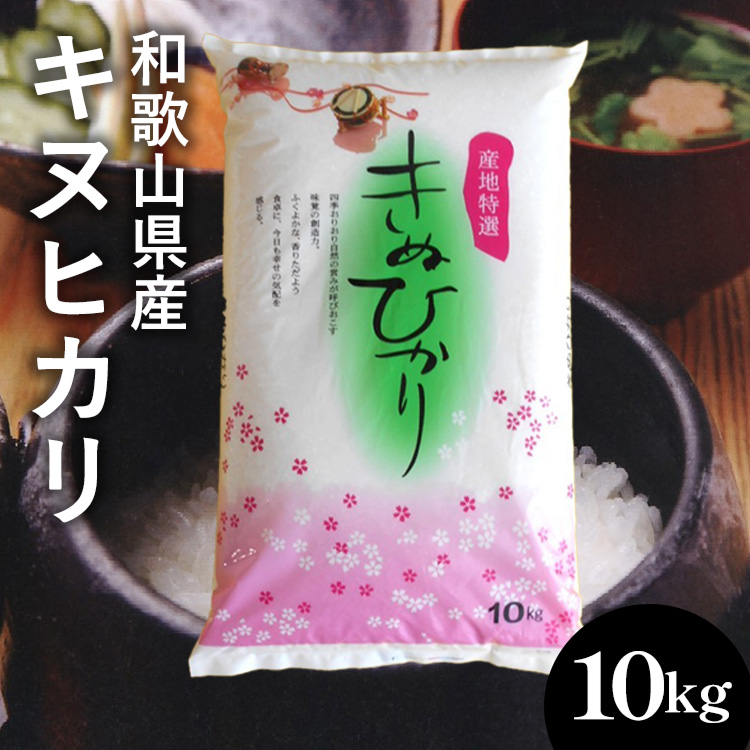 【先行予約】和歌山県産キヌヒカリ 10kg(2025年産) ｜米 コメ こめ 和歌山※2025年9月中旬頃より順次発送予定