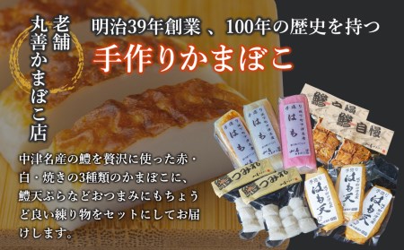 鱧（ハモ）かまぼこセット | 蒲鉾 練り物 天ぷら つみれ 大分県産 九州産 丸善かまぼこ かまぼこ 鱧 はも ハモ セット 国産 大分県 中津市