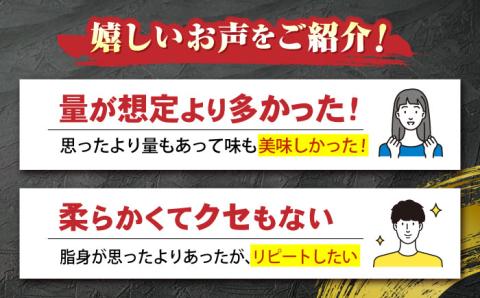 肥後の赤牛 焼肉 500g やきにく 焼き肉 贅沢 熊本 赤牛 褐牛 あかうし 褐毛和種 肥後 冷凍 国産 牛肉【やまのや】[YDF005]