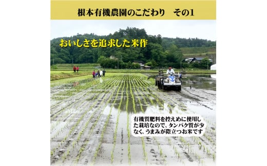 【令和6年産】南相馬・根本有機農園のJAS有機米コシヒカリ5kg（玄米）