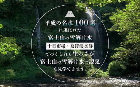 わさび収穫体験（わさびお土産付き）　山梨 都留市 わさび 山葵 ワサビ 体験 体験チケット 収穫 収穫体験 湧水