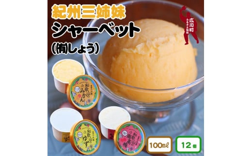 紀州三姉妹（シャーベットのセット）/ アイス ジェラート みかん 旬 蜜柑 ミカン 柑橘 果物 フルーツ 和歌山県 広川町【sho115-k-12】