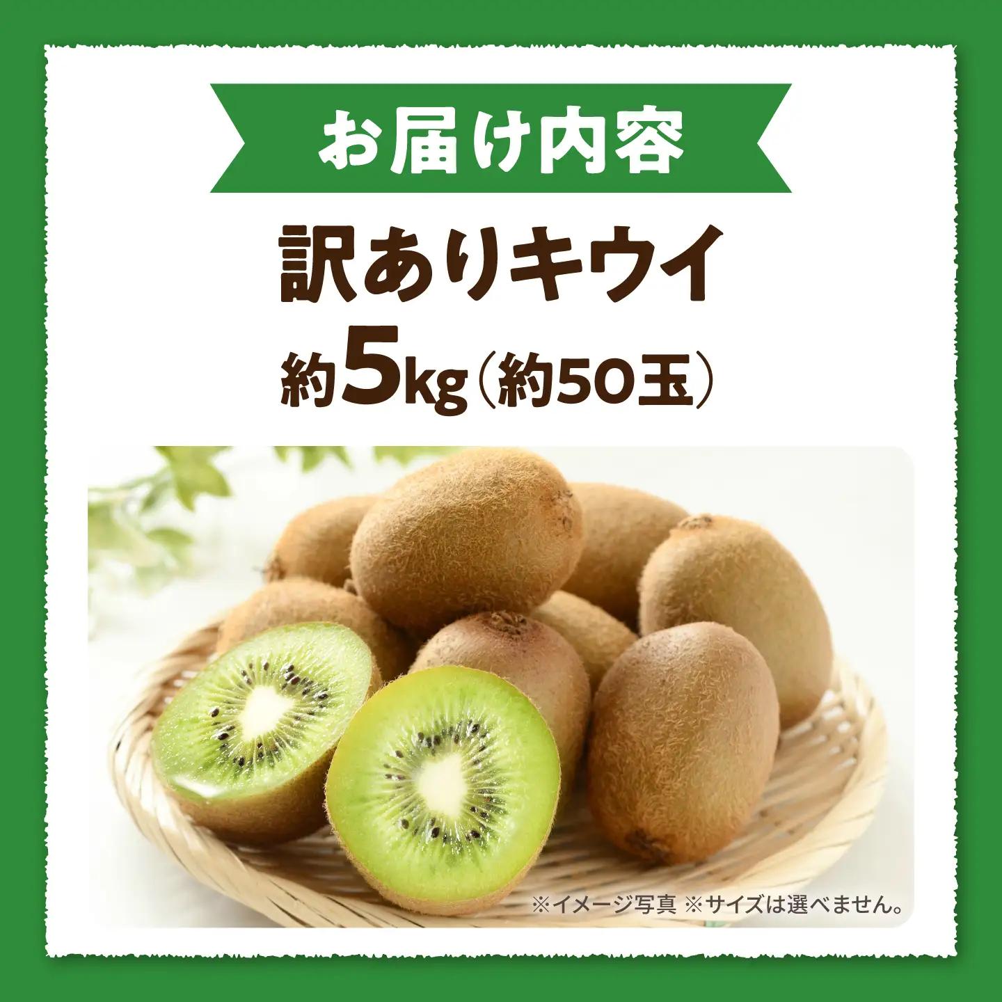 キウイ 訳あり キウイフルーツ ヘイワード サイズ不揃い 約5kg 50個前後 / フルーツ 果物 キウイフルーツ キウイ キューイ キゥイ キュウイ 甘い 先行予約 5kg 愛媛 / 愛媛県砥部町/