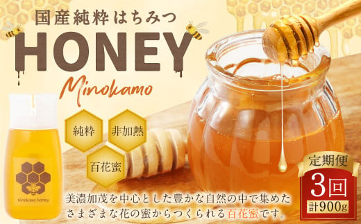 【3ヶ月定期便】MINOKAMO HONEY はちみつ 1本（300g）×3回 ｜ 藤井養蜂 蜂蜜 ハニー 非加熱 百花蜜 国産 甘味料 定期便 岐阜