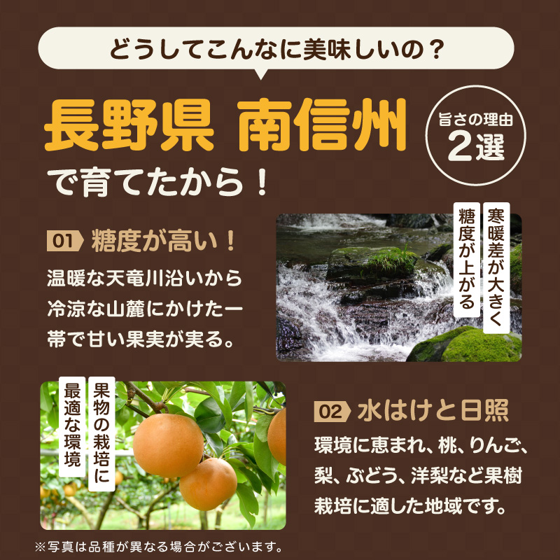 南信州産 梨 約5kg ＜ 幸水 ・ 豊水 ＞ いずれか1品種 おまかせ ＜2026年8月中旬～9月中旬発送＞| 梨 なし ナシ 幸水 豊水 果物 くだもの フルーツ 長野県 信州 南信州 飯田