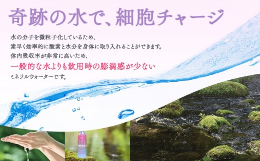 ニセコ解離水  金のしずく・銀のしずく 500ml×24本 | 水 保存水 軟水 ミネラルウォーター 羊蹄山 解離水 | 株式会社アプロディーテ [BPAH001]