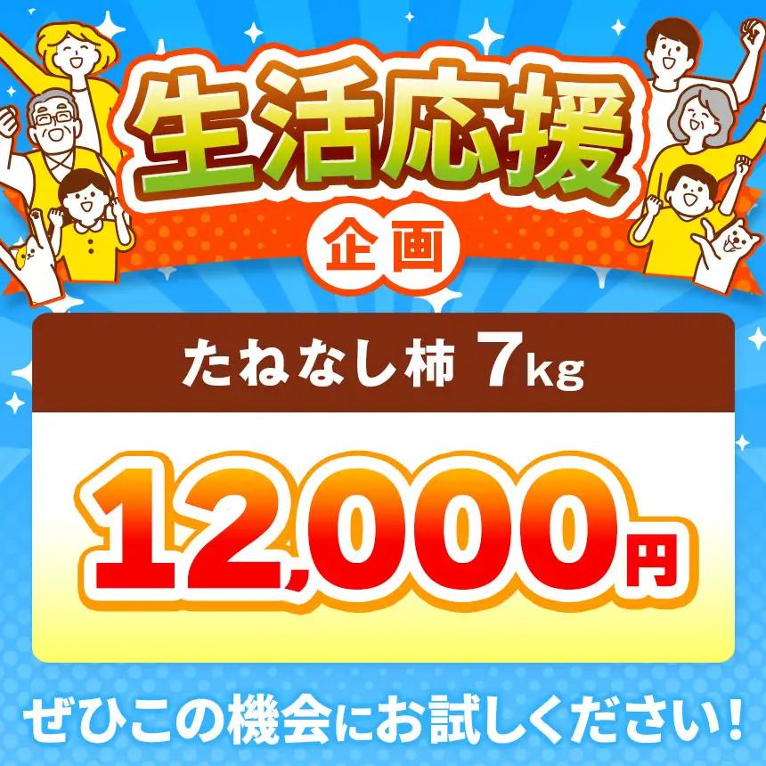   【 先行予約 】訳あり たねなし柿 約7kg （ 25～35個 ) 大人気  | 