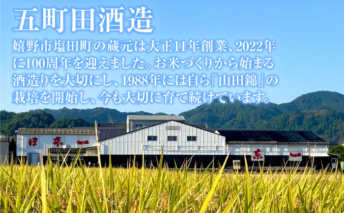 東一 大吟醸 1.8L×1本 / 日本酒 お酒 銘酒 地酒 / 佐賀県 / 有限会社嬉野酒店 [41AIAA021]