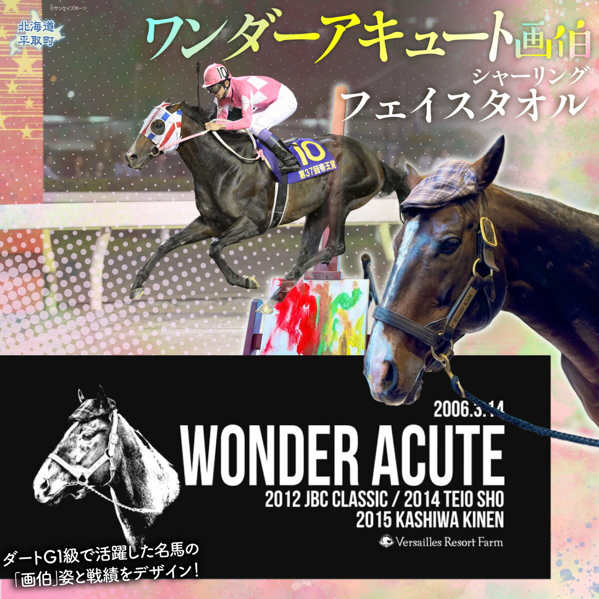 【ふるさと納税】【ワンダーアキュート画伯】シャーリングフェイスタオル 【ふるさと納税 人気 おすすめ ランキング 馬 競馬 競走馬 引退馬 ワンダーアキュート タオル フェイスタオル シャーリングタオル 生活 日高 北海道 平取町 送料無料】 BRTV205