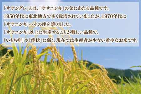 ★令和6年産★ ささしぐれ 10kg (精米)  | 希少品種 お米 おこめ 精米 ササシグレ 無農薬 無肥料 安心 あっさり食感 冷めてもおいしい (DE007)