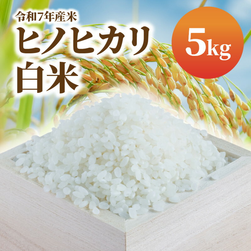 【ふるさと納税】令和7年産米 白米 ヒノヒカリ 5kg 米 ふっくら 美味しい 艶 香り 弾力 あっさり 甘み 食べごたえ 白ご飯 冷めても美味しい お米 おにぎり ご飯 和食 チャーハン 丼 弁当 精米 お取り寄せ 宮崎県 延岡市 送料無料
