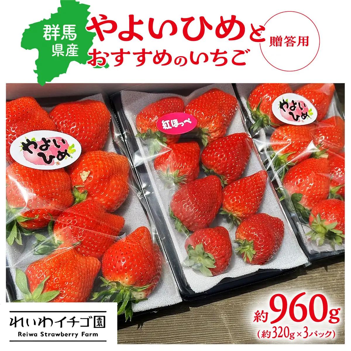 いちご 「やよいひめ」と「おすすめのいちご」 320ｇ×3トレー
