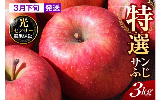 【2026年3月下旬発送】【特選】りんご 約3kg サンふじ 青森 五所川原