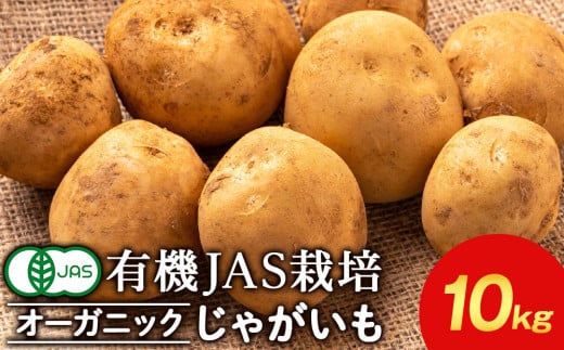 【2025年秋発送】 有機ジャガイモ 10kg 《 たかのふぁーむ 》 いも 芋 じゃがいも 野菜 有機 北海道 積丹