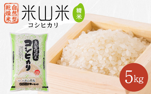 
            自然型乾燥特栽米コシヒカリ(米山米)精米5kg×1袋【1364720】
          