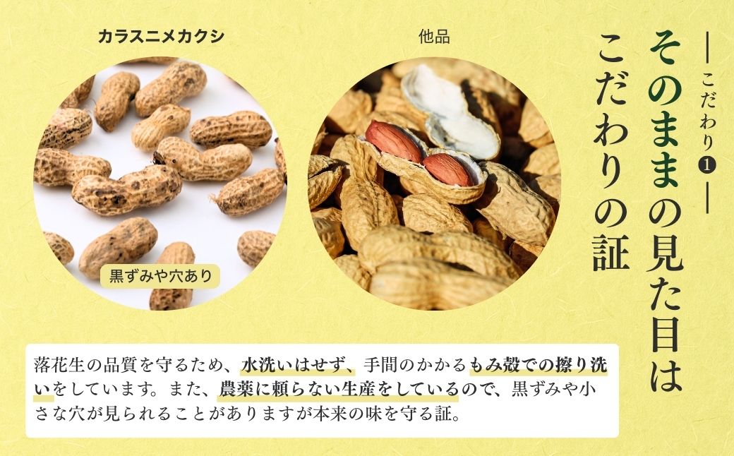 龍ケ崎産殻付き落花生 千葉半立900g(180g×5袋) | 落花生 ピーナッツ ピーナツ ナッツ 国産 殻付き おやつ お菓子 おつまみ お取り寄せ ヘルシー 健康 国産 茨城 特産品 農園 自家栽