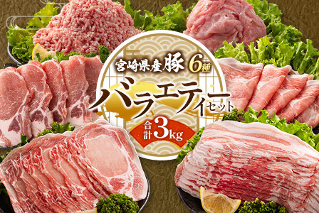 ＜2026年2月配送＞宮崎県産 豚バラエティーセット合計3kg【B691-2602】