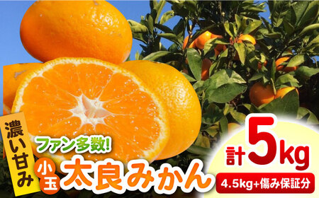 【2026年10月下旬以降発送】完熟 小玉太良みかん 計5kg（4.5kg＋傷み保証分500g） / 佐賀県 / 山本農園 [41ATBT004]