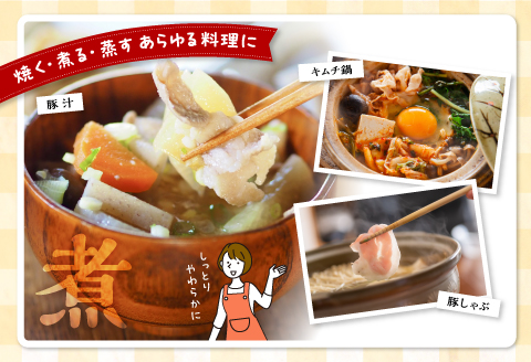 宮崎県産 豚ローススライス (400g×5パック) 合計2kg