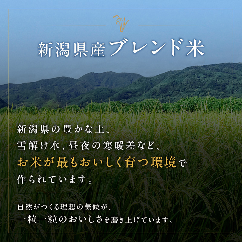 新潟ブレンド米 5kg 2か月定期便 新潟県 新潟市産 令和7年産 お米 精米 米 ご飯 送料無料