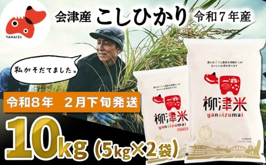 ＜令和7年産＞福島県柳津町産「こしひかり」10kg〈2026年2月下旬発送予定〉【1680159】