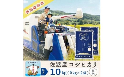 【3か月定期便】佐渡島産コシヒカリ 白米10Kg 令和7年 特別栽培米 農家直送
