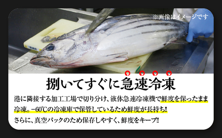＼近海かつお一本釣り漁獲量日本一!!／ 大判 かつお 柵 計800g 食品 国産 真空パック おすすめ 鰹 カツオ 刺身 刺し身 サク おかず おつまみ ギフト 魚介類 新鮮 海産物 水産 海の幸 数