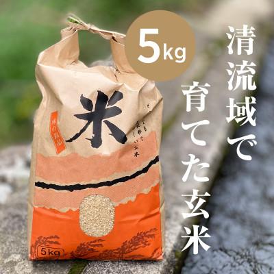 ふるさと納税 津和野町 山間の清流を引き込んだ田んぼで作った「きぬむすめ玄米」5kg(令和7年)