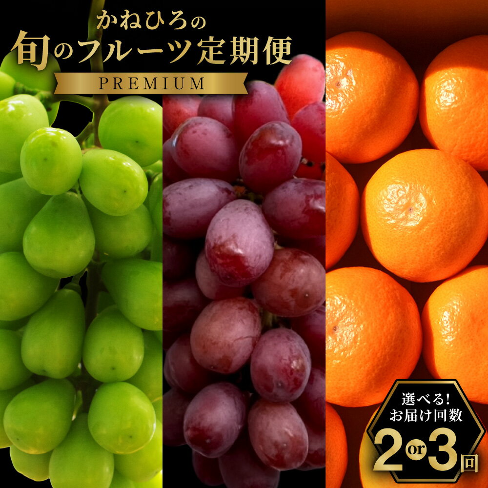 【ふるさと納税】かねひろの旬のフルーツ定期便 プレミアム 選べる回数 ( 年2回 / 年3回 ) | 果物 くだもの 黒酢ブラックシャインマスカット 富士の輝き 黒酢みかん フルーツ詰合せ 果実 お取り寄せ 定期配送 おすすめ 佐賀県 太良町 送料無料