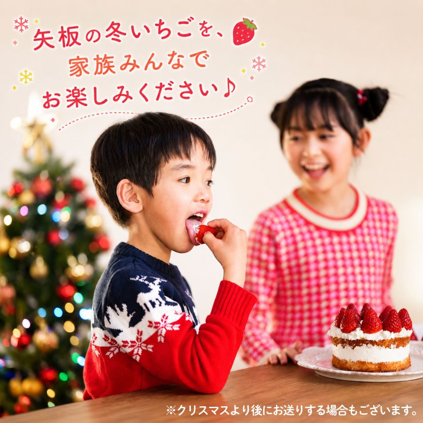 【先行予約】[数量限定] 貴重な12月発送！贅沢な栃木のいちご3種食べ比べセット 960g | とちあいか とちおとめ スカイベリー