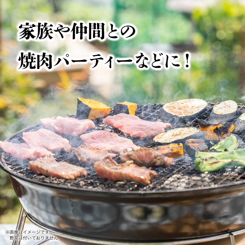 博多和牛 赤身肉セットA 赤身焼肉＆赤身スライス