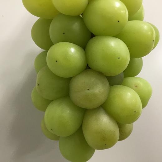 ※画像はイメージです。