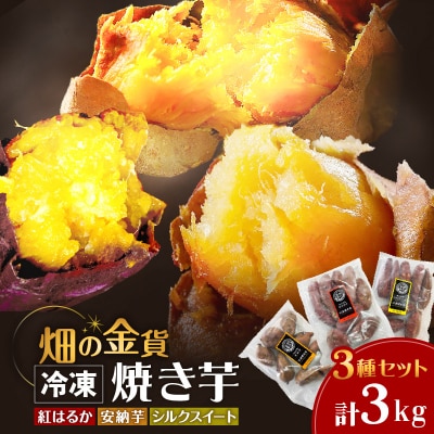 畑の金貨 焼き芋3種セット 3kg　K181-001_04