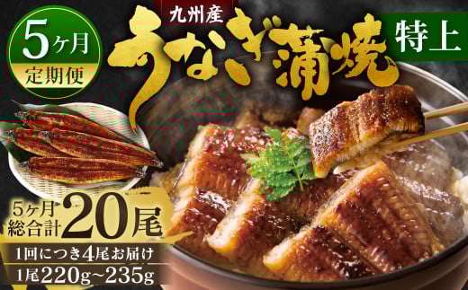 【5ヶ月定期便】九州産 うなぎ蒲焼 特上 4尾 (1尾あたり220～235g) 合計20尾 たれ 山椒 鰻 ウナギ 蒲焼き 国産 冷凍 鹿児島、宮崎、熊本等産うなぎ原料使用