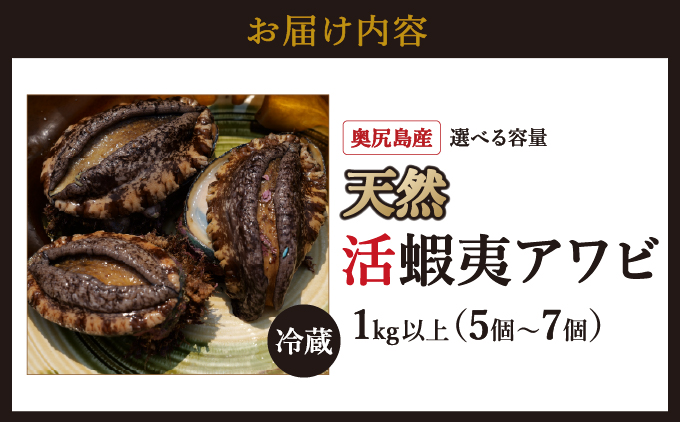 【2026年6月発送】 奥尻産 天然 アワビ 1kg以上 | 北海道 奥尻町 送料無料 OKS03-008