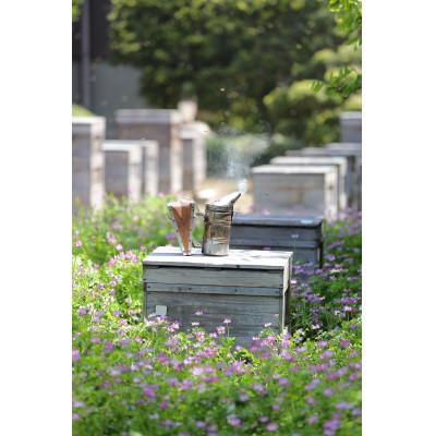 ふるさと納税 大垣市 【国産蜂蜜】450gパッカー容器2本セット(くろがねもち蜂蜜、白花豆蜂蜜) |  | 01