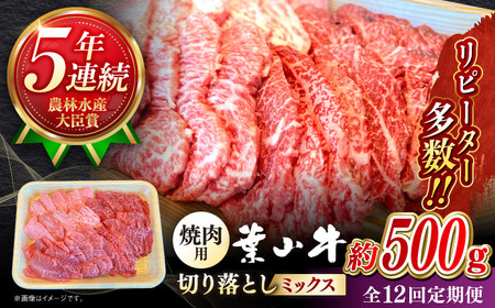 【全12回定期便】【葉山牛】500g　焼肉用ミックス（ロース、モモ、カルビ等） ／ 牛肉 黒毛和牛 神奈川県 特産品【葉山牛ステーキレストラン 角車】[ASBD030]