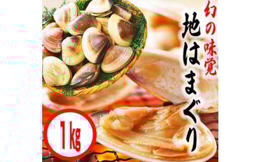 KBL-3　鹿島灘特産★ブランド地はまぐり（お手軽１kg） BBQ 　貝類　はまぐり 鹿嶋灘 鹿嶋市 茨城県 送料無料