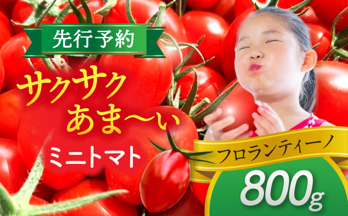 
            【先行予約】 ミニトマト(フロランティーノ) 800g トマト 野菜 新鮮 期間限定トマト 愛西市 / 株式会社石原農園 [AEBG004]
          
