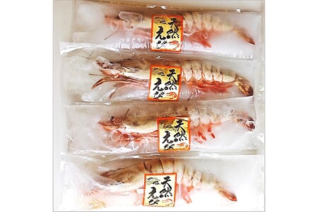 特大 天然海老(有頭･4尾)【C-136】