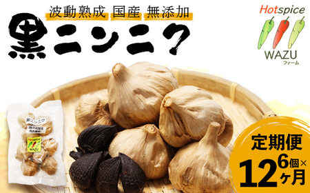 【定期便12回】波動熟成 黒にんにく 6個×12回 / にんにく 健康 ギフト 綾部市 / WAZUファーム［BSAF005］